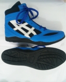 Wrestling Shoes